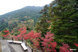 DSC00324.JPG