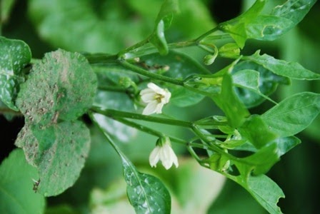 [DSC_0168%255B5%255D.jpg]