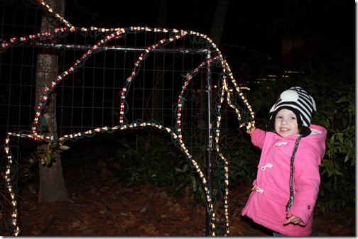 12-24-2011_999_193