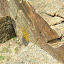 DSCN5731.JPG