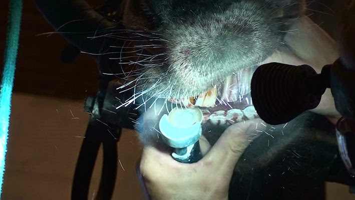 [20141114121813-%25282%2529%255B2%255D.jpg]