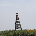 IMG_5727.JPG