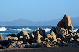 DSC_0516.JPG