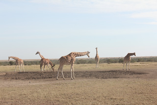 [Kenya%2520450%255B2%255D.jpg]
