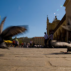 DSC_5845.jpg DSC_5845.jpg