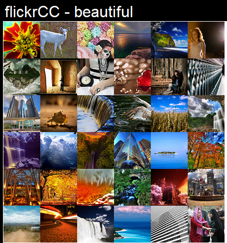 [beautiful_by_flickrcc%255B2%255D.png]