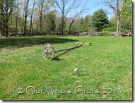maypole maypole