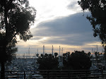 IMG_1065.JPG