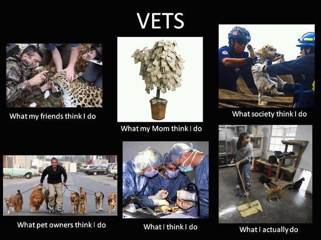 [2325_Vet%255B4%255D.jpg]