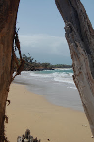 DSC_0868.jpg