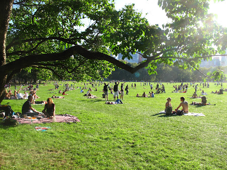 Things to do in New York: have a picnic in Central Park