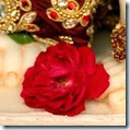[Flower offered to Krishna]