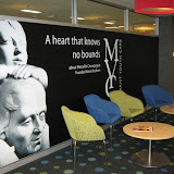 Wall Murals