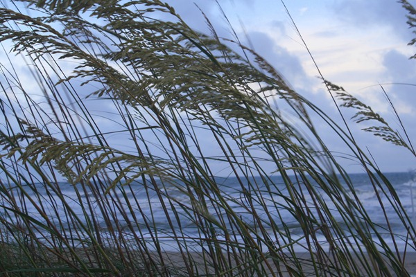Beach Trip 2011 128-1