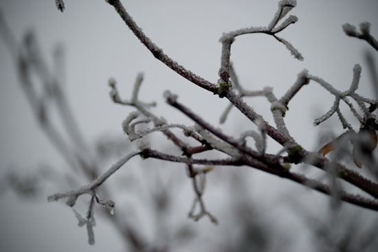 [DSC_2456%255B4%255D.jpg]