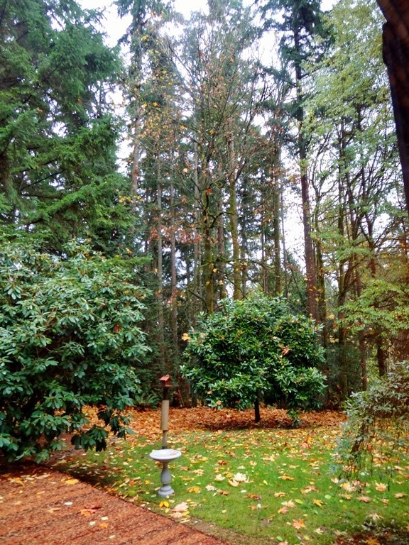 [DSC01094%2520%2528975x1300%2529%255B4%255D.jpg]