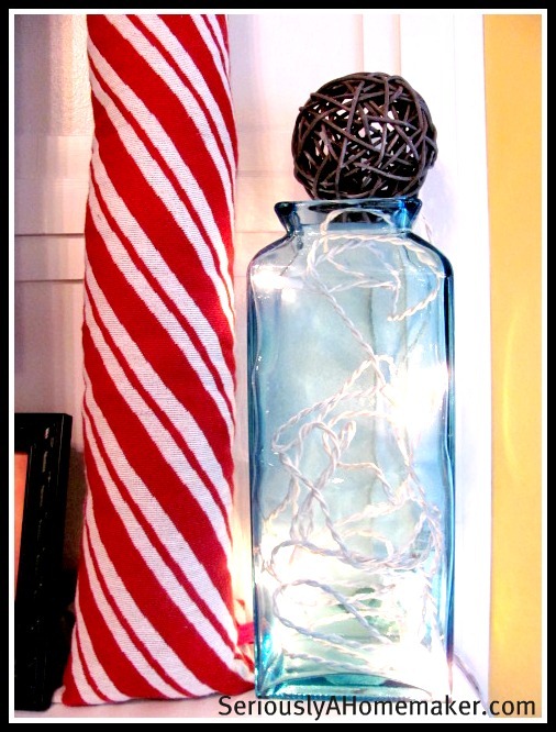 [christmas%2520lights%2520in%2520vase%255B5%255D.jpg]