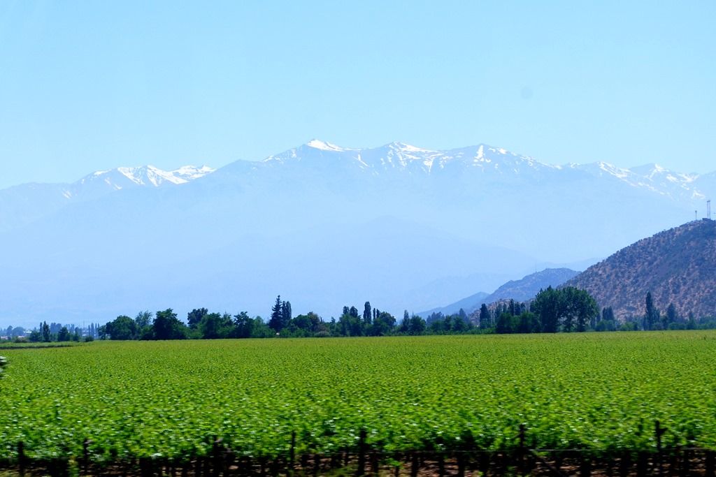 [DSC_0176%2520-%2520View%2520Andes%2520and%2520Wine%2520Yards%252003.11.2012%252016-11-33%255B4%255D.jpg]