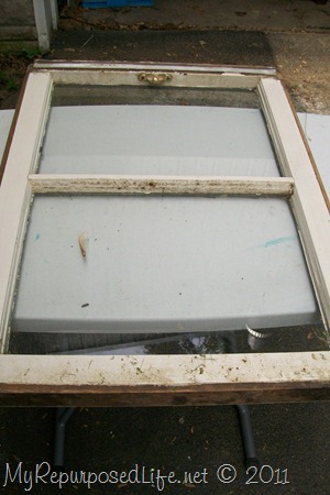 100_8201 100_8201