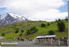 Grupo Cavalgada Torres Del Paine