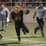 FeO8s.St.13.jpg