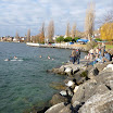 2011-12-11_018.JPG