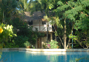 Tarzan house