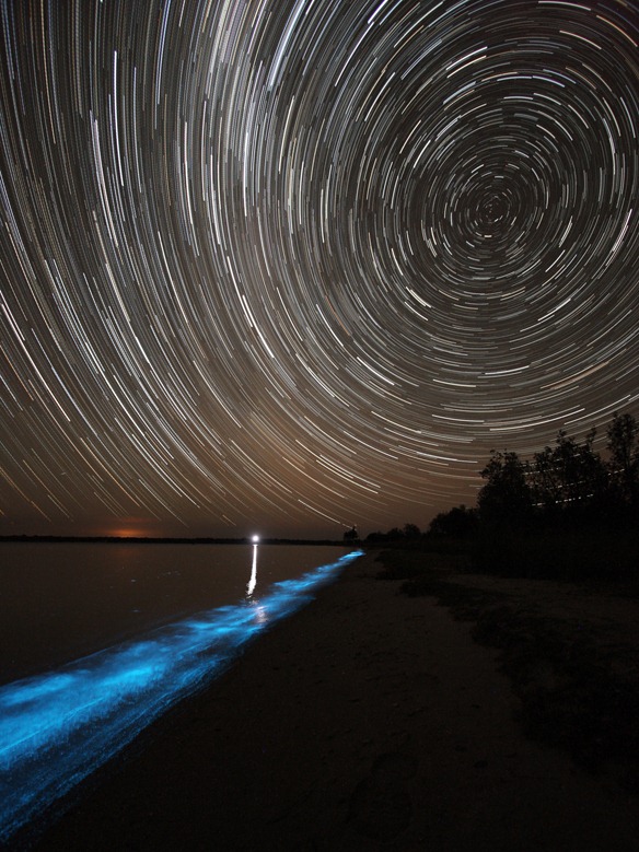 Hồ Gippsland (Úc) với làn nước phát ánh sáng xanh kỳ ảo Bioluminescence6%25255B7%25255D