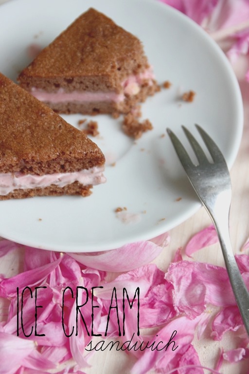 [icecreame-sandwich-recipie6.jpg]