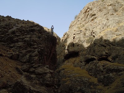 DSCN3954.jpg