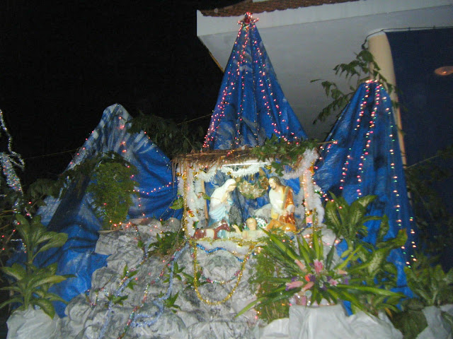 Thánh lễ Giáng sinh tại giáo xứ Đa Lộc