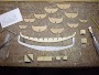 hatshepsut-02.jpg