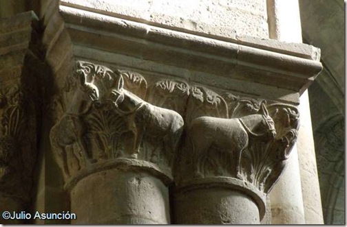Mulos en la catedral de Tudela