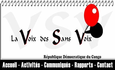  Plus de 400 ressortissants de la RDC expulsés de Brazzaville  - Page 3 VSV
