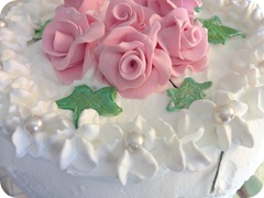 IMG_3007 IMG_3007