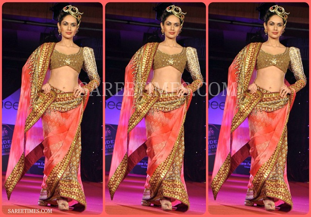 [Pink_Designer_Sari%255B3%255D.jpg]