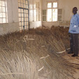 This crop will last the hospital for most of the year P1040022.jpg