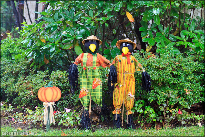 Америка 2.0 / Нью Йорк   Хэллоуин в Forest Hills (foto america  фото праздник интересно new york  20111019 usa ny forest hills halloween 005 9108)