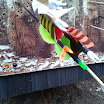 2013-03-31 14.18.32.jpg