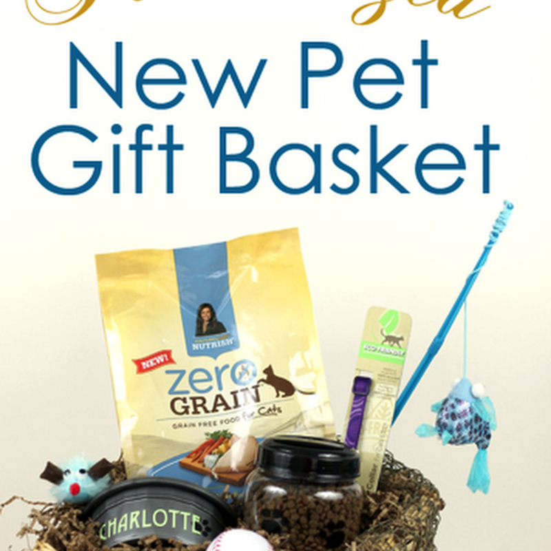 Personalized New Pet Gift Basket The Kim Six Fix