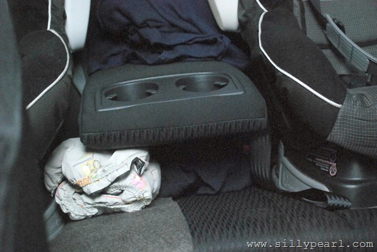 CarseatSunshade11