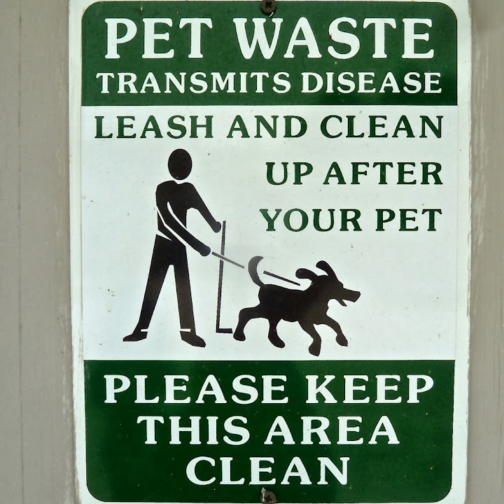 Leash and clean up after