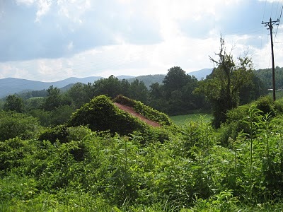 [IMG_1186%255B10%255D.jpg]