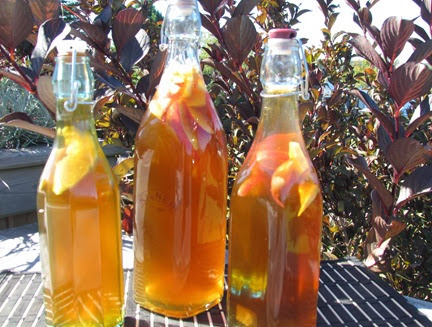 kombucha9 kombucha9