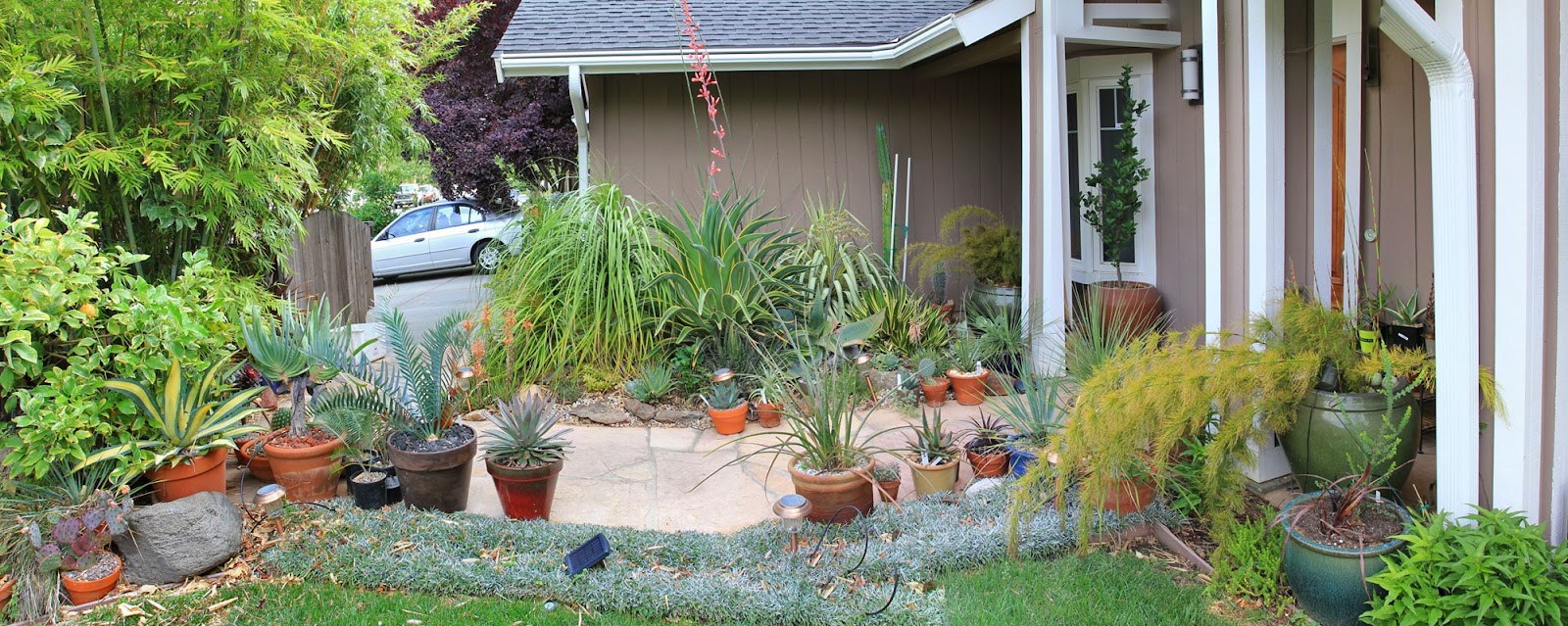 [130508_frontyard_succ_bed_pano%255B6%255D.jpg]