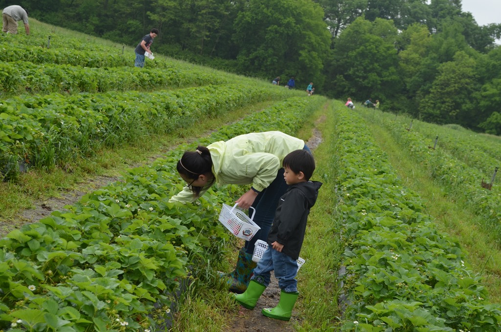 [DSC_1254%255B3%255D.jpg]