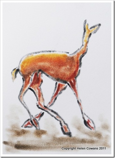 Deer2