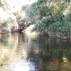 DSCN4572.JPG