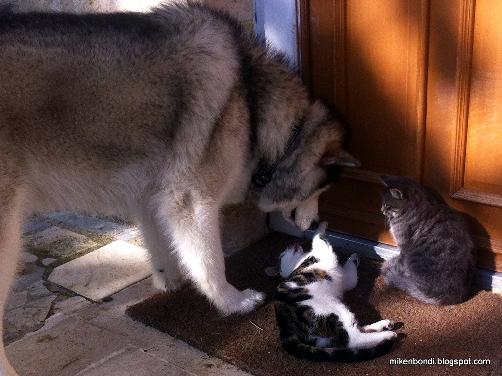 [IMG_2708%255B3%255D.jpg]