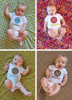 Nora Weeks 29 thru 32 collage